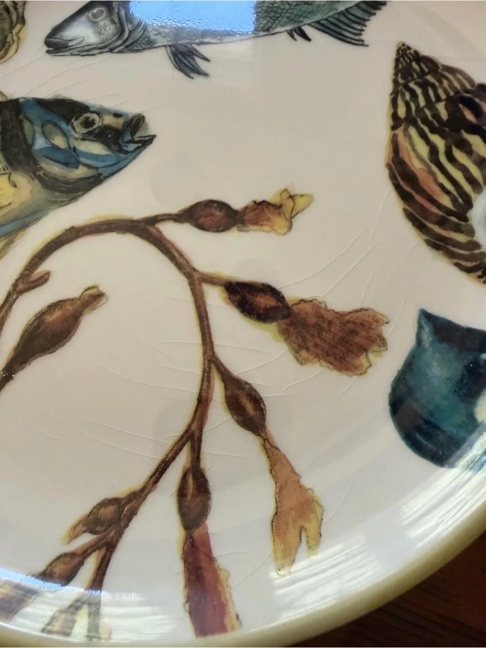 Williams Sonoma 2012 Poisson Marc Lacaze 4 fish plates + original box (Crazing)